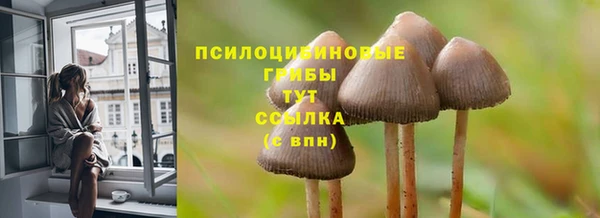 герыч Абаза